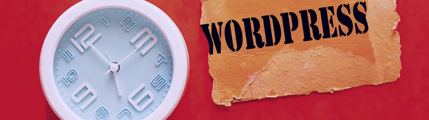 Wordpress'te Web Sitenizde Kritik Bir Hata Oluştu Hatası Çözümü